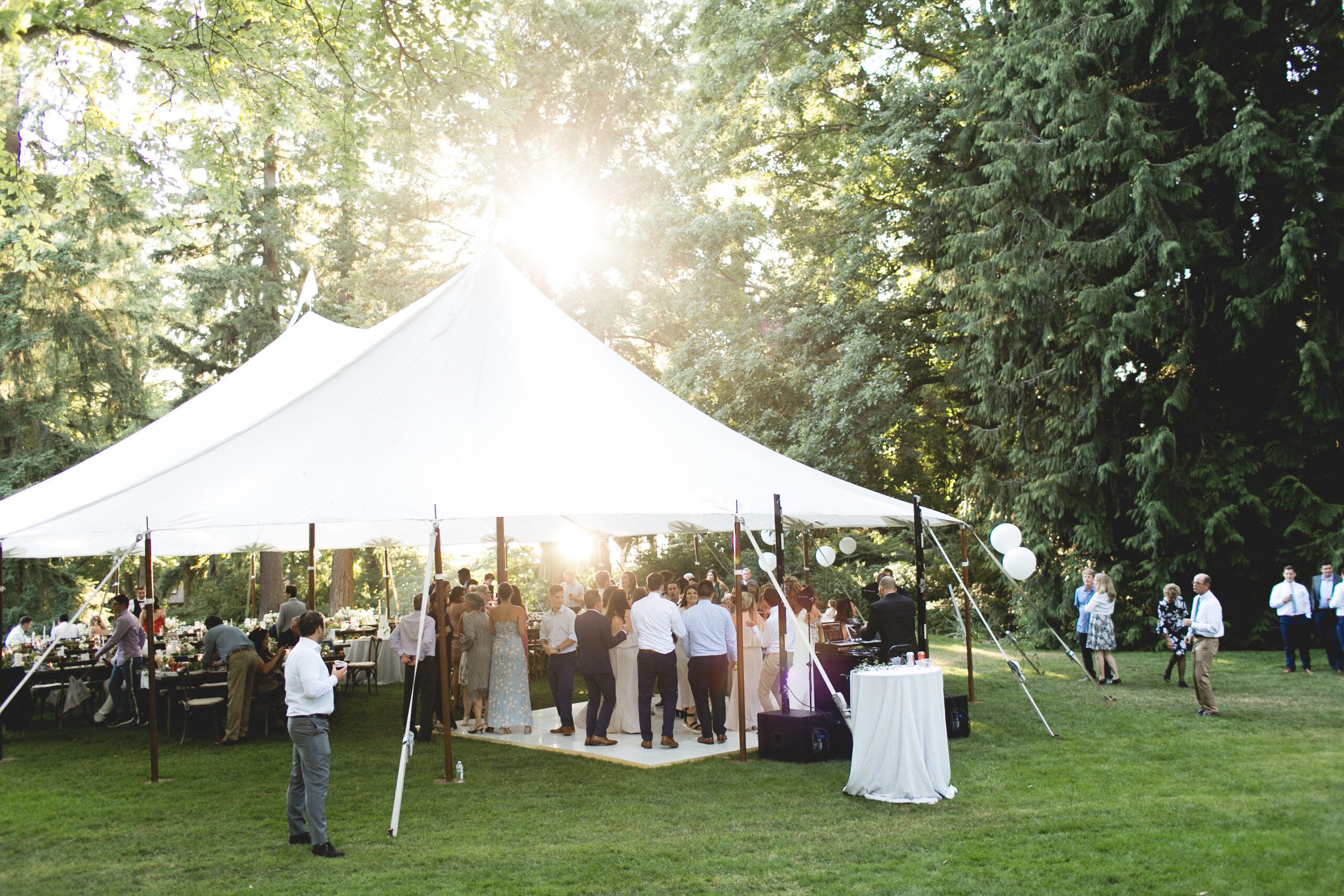 Classic Looks Alexander Party Rentals