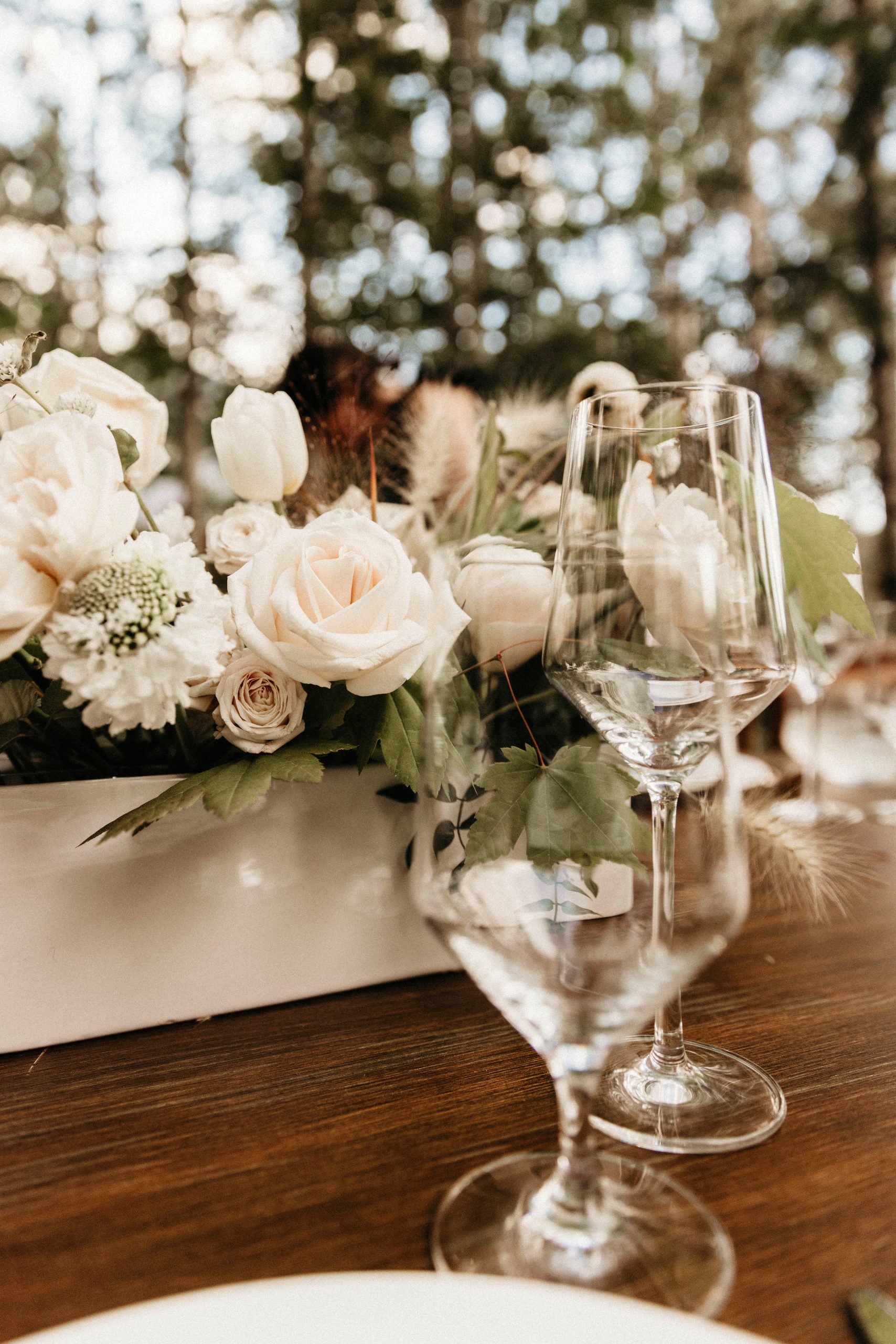 Rainier Elopement Alexander Party Rentals