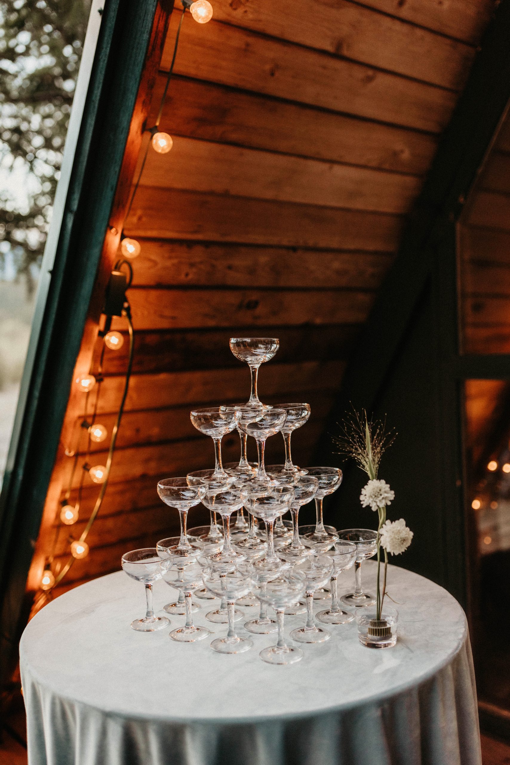 Rainier Elopement Alexander Party Rentals