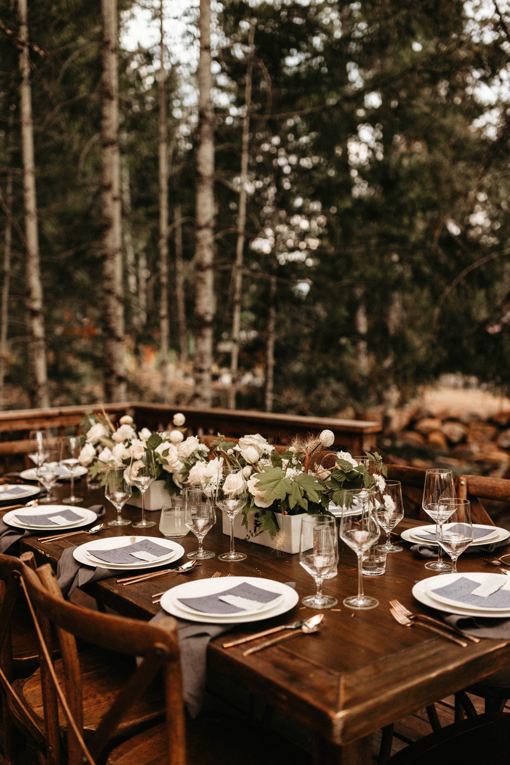 Rainier Elopement Alexander Party Rentals