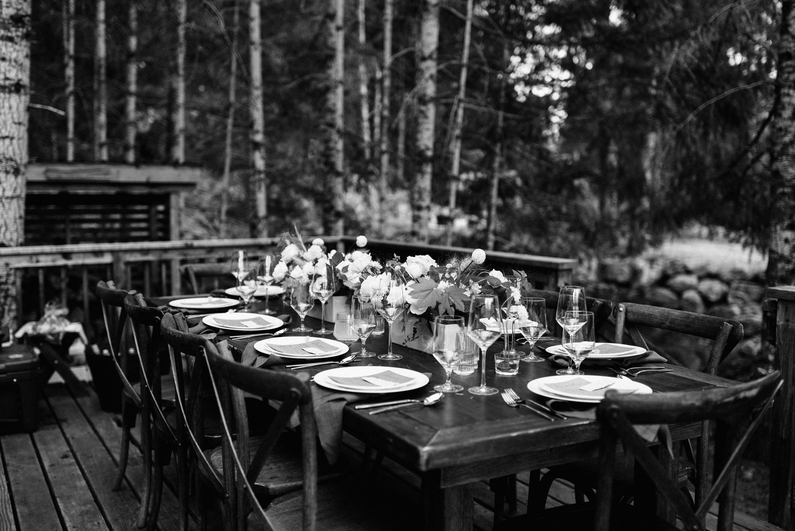 Rainier Elopement Alexander Party Rentals